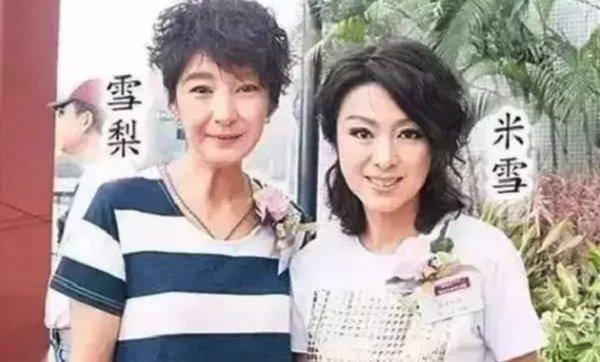 麗馬保溫材料最新價格詳解
