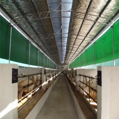 新疆牛場(chǎng)保溫材料廠家電話，優(yōu)質(zhì)保溫材料與高效服務(wù)的完美結(jié)合