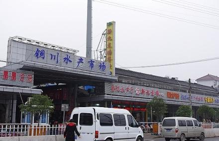 陵縣保溫材料批發(fā)市場地址——探尋保溫材料市場的繁榮與機(jī)遇