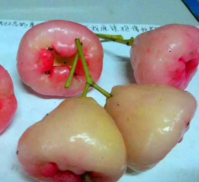 礦物纖維噴涂保溫材料的優(yōu)缺點(diǎn)分析