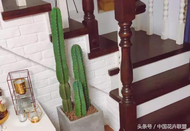 無甲醛保溫材料批發(fā)價格深度解析