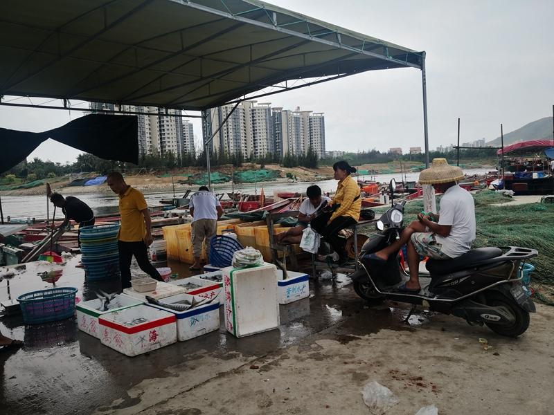 三亞水果保溫材料廠家地址及其產品介紹