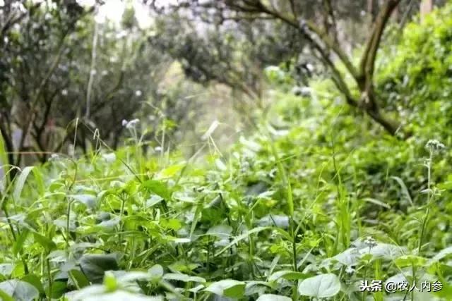 咸豐縣保溫材料批發(fā)市場，繁榮與發(fā)展中的行業(yè)焦點(diǎn)