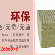 大城縣天佐保溫材料廠，卓越品質(zhì)，創(chuàng)新領(lǐng)先的企業(yè)