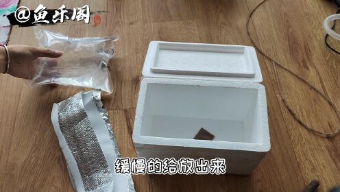 觀賞魚保溫材料的研究與解析