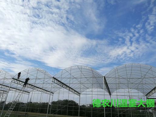 四川溫室大棚保溫材料廠的探索與創(chuàng)新之路