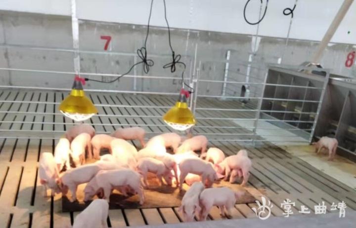 白水縣保溫材料廠家概覽