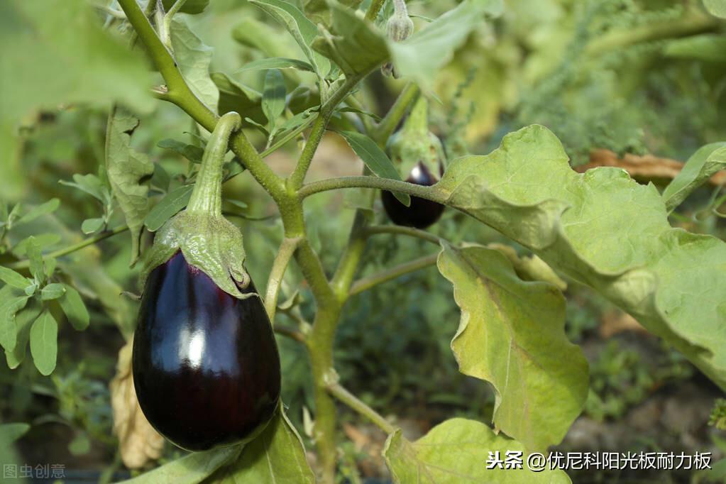 立春保溫材料廠家聯(lián)系方式，開啟優(yōu)質(zhì)保溫材料探尋之旅