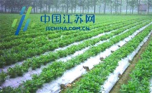 沭陽縣保溫材料廠家聯(lián)系方式，架起需求與供應(yīng)的橋梁