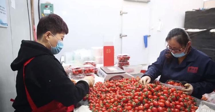 壽光保溫材料價(jià)格解析，多少錢一噸？