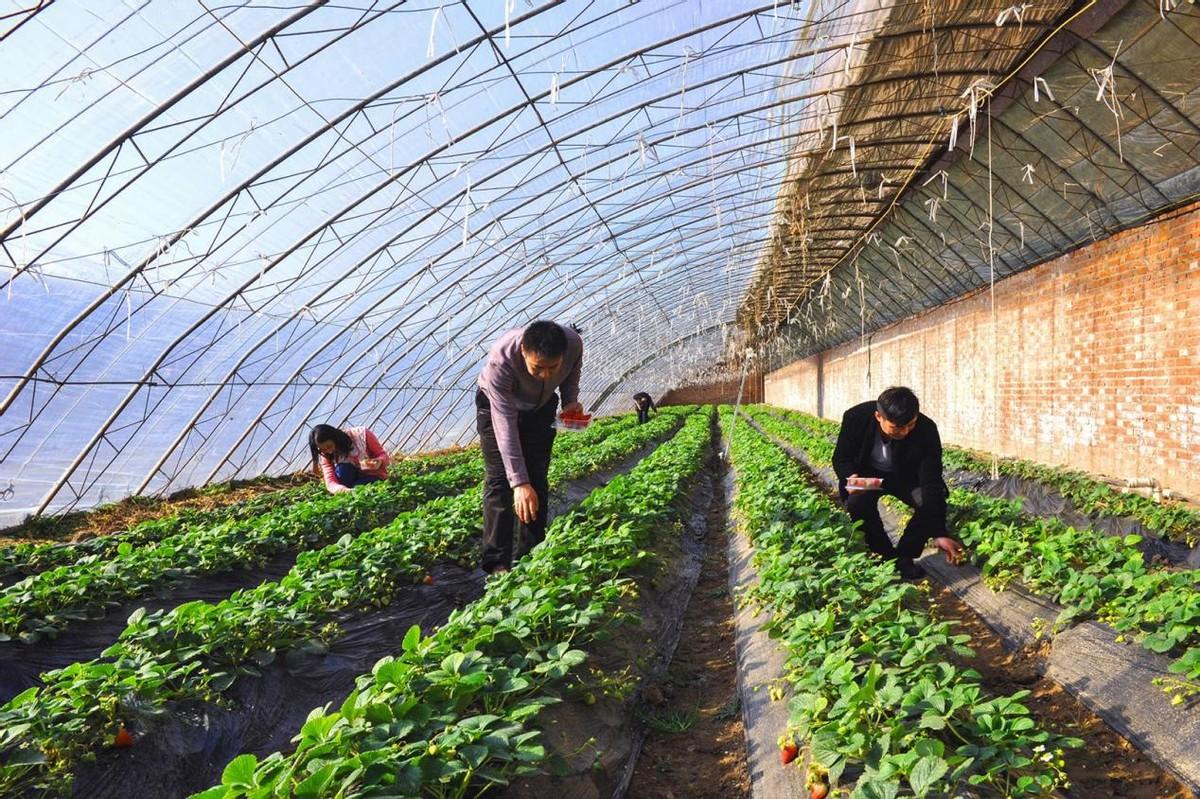 天津市津發(fā)保溫材料廠，保溫材料的卓越制造者