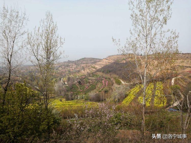 洛寧縣保溫材料生產(chǎn)廠家的繁榮崛起