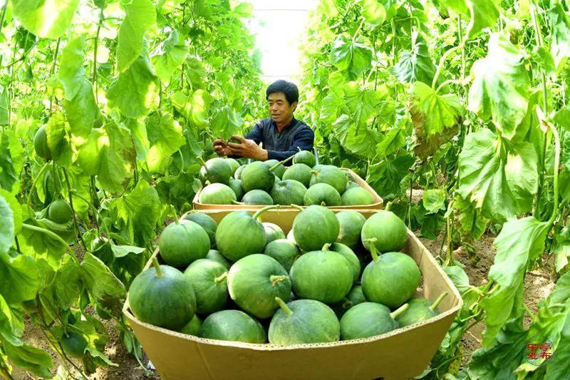 唐山市保溫材料廠家聯(lián)系方式，連接您與優(yōu)質(zhì)保溫解決方案的橋梁