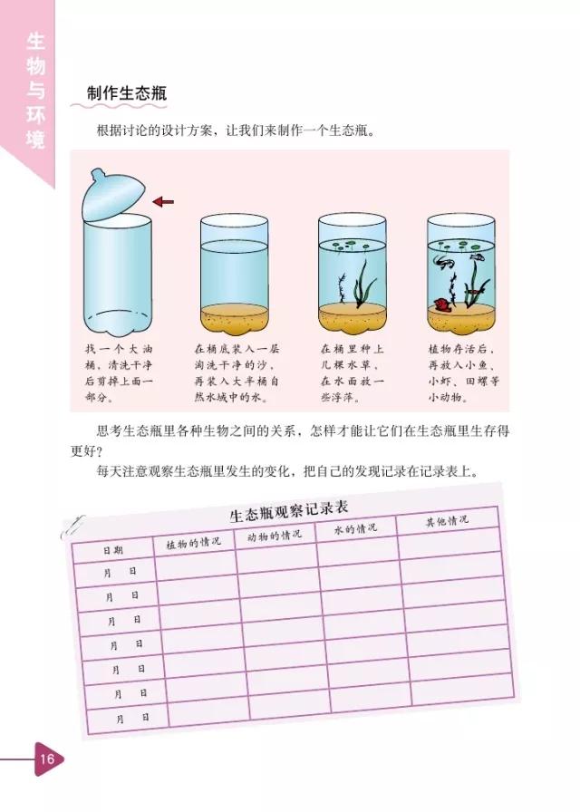 小學(xué)五年級科學(xué)保溫材料，探索與應(yīng)用