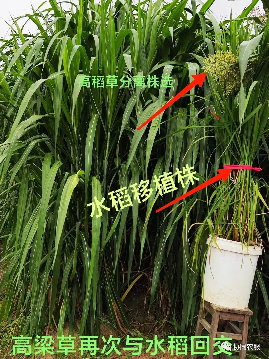 四川巨創(chuàng)保溫材料廠，引領(lǐng)行業(yè)前沿的保溫材料制造專(zhuān)家