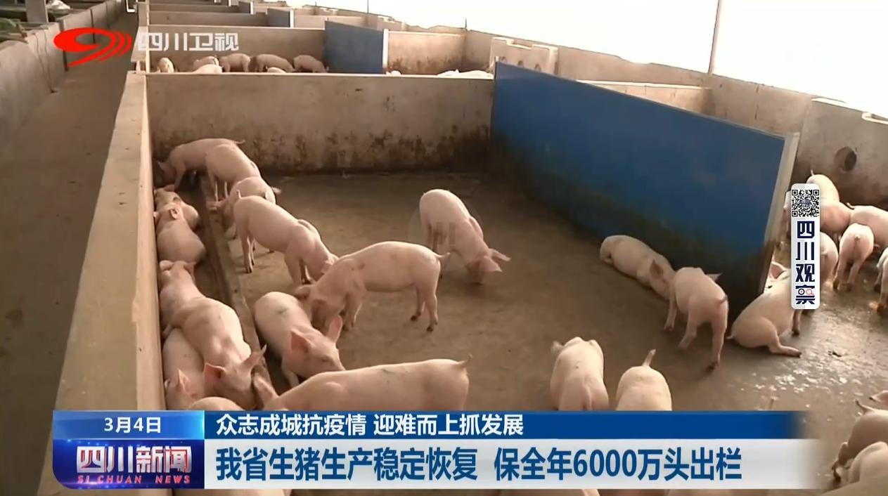 天津興旺保溫材料廠的深度解析